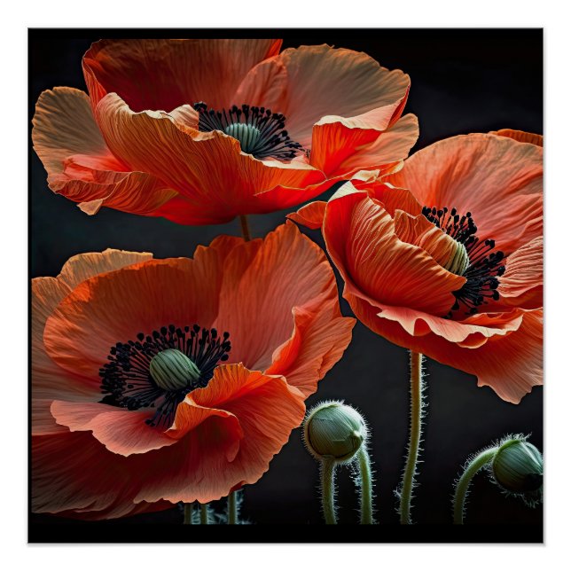 Honor those that gave all  poster (Front)