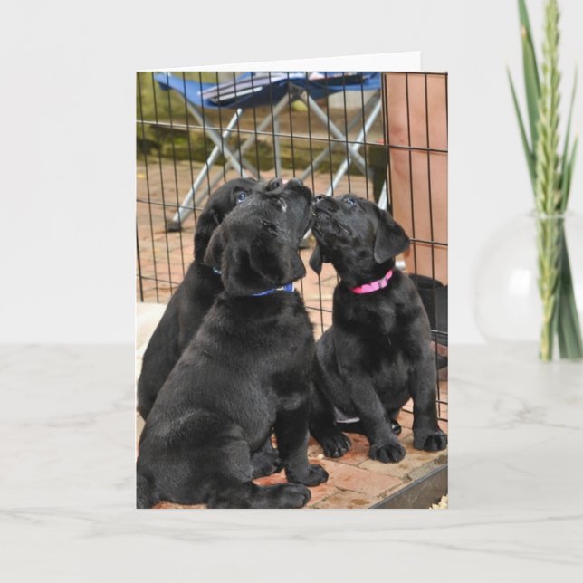 Honor Trio Singing Card (Front)