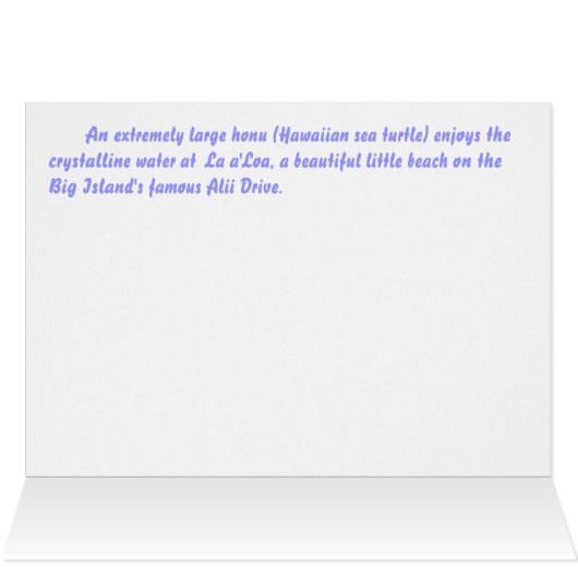 Honu at  La a'Loa Beach (Inside Horizontal (Top))