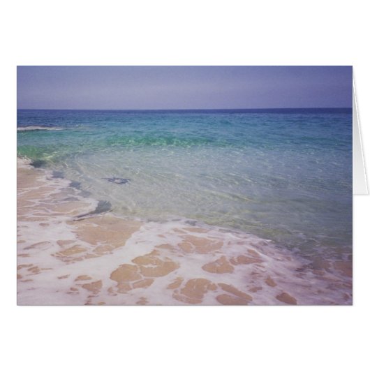 Honu at  La a'Loa Beach Cards (Front Horizontal)