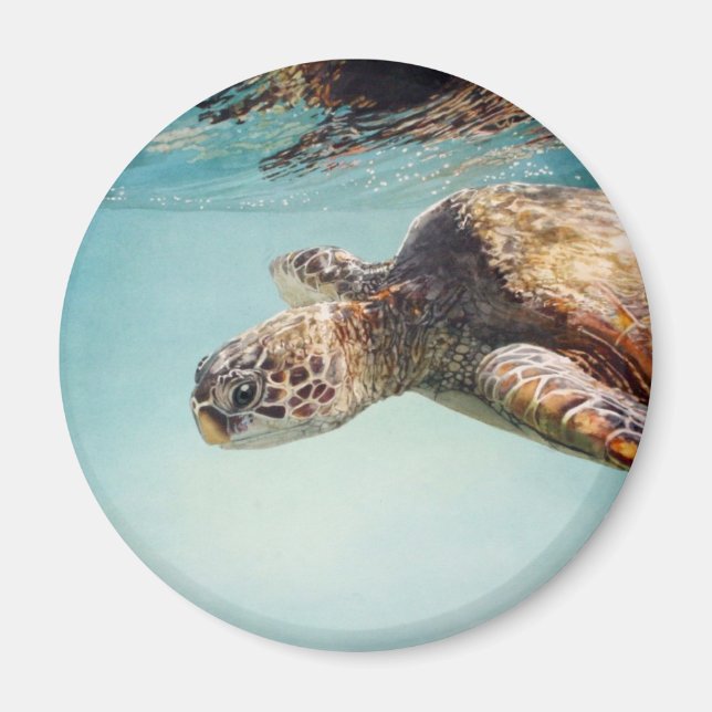 Honu by Marilyn Wear Magnet (Front)