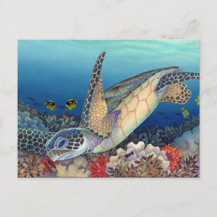 Honu (Green Sea Turtle) Postcard
