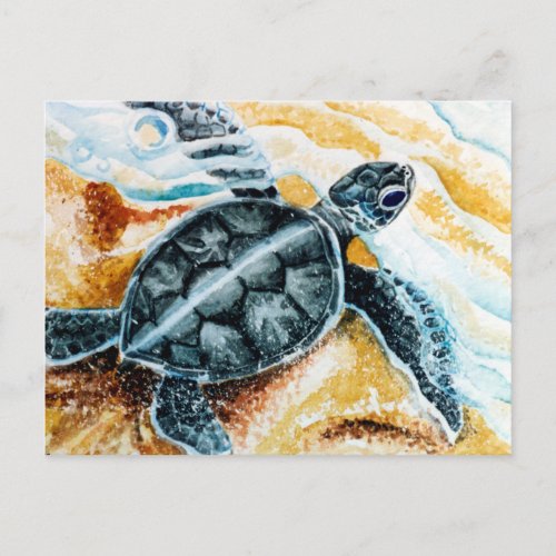Honu Hatchling Green Sea Turtle Postcard