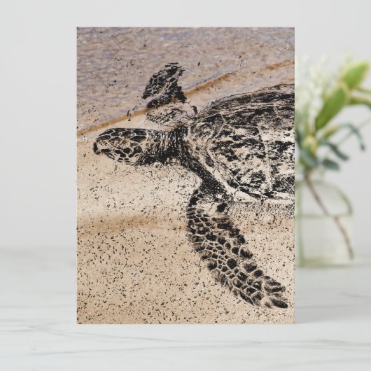 Honu - Hawaiian Sea Turtle (Standing Front)