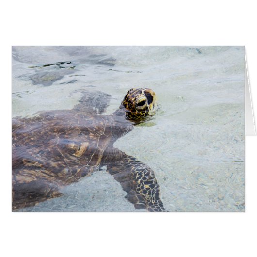 Honu Hawaiian Sea Turtle - Hawaii Turtles Cards (Front Horizontal)