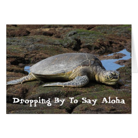 Honu Resting on the Warm Rocks Cards (Front Horizontal)