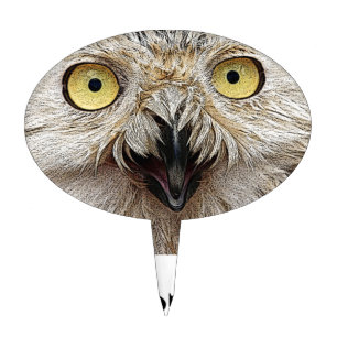 Hoo Are You? Owl Who Are You? Cake Topper