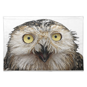 Hoo Are You? Owl Who Are You? Placemat