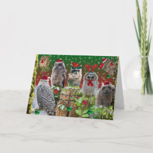 Hoo Hoo Hooo Merry Christmas Holiday Card