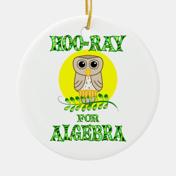 Hoo Ray for Algebra Christmas Ornament