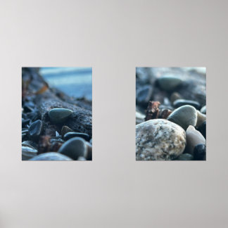 hood canal rocks shells wall art sets