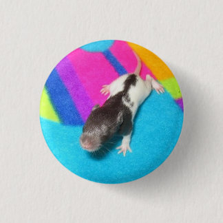 Hooded Baby Rat Pinback Button