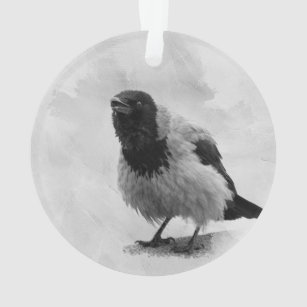 Hooded Crow Ornament