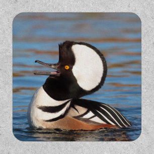 Hooded Merganser Calling Patch