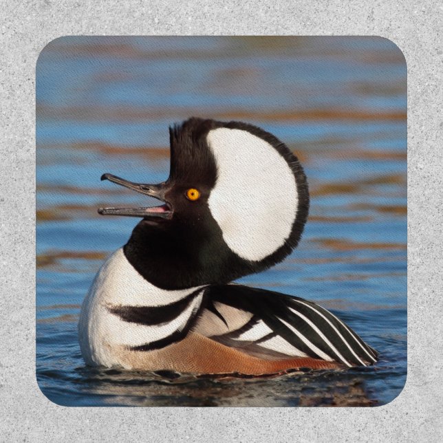 Hooded Merganser Calling Patch (Front)