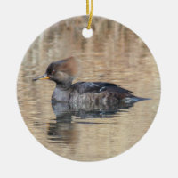 Hooded Merganser