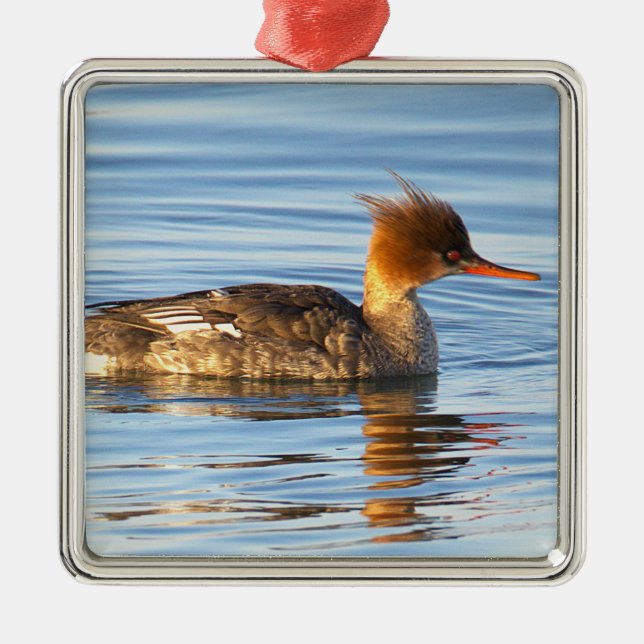 Hooded Merganser Duck Ornament (Front)