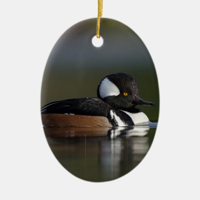 Hooded Merganser in evening light Ceramic Ornament (Front)