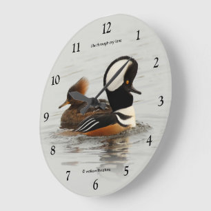 Hooded Mergansers: A Finely Crested Couple Large Clock