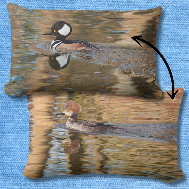Hooded Mergansers Swimming on Creek Scenic Lumbar Pillow (Creator Uploaded)