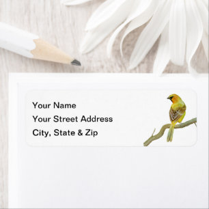 Hooded Oriole Label