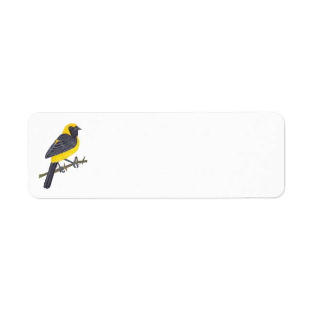 HOODED ORIOLE  LABEL (Front)
