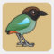 Hooded Pitta Square Sticker