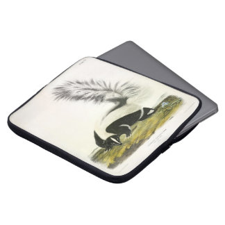 Hooded Skunk or Large-tailed Skunk from Audubon Laptop Sleeve