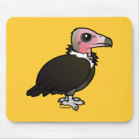 Hooded Vulture