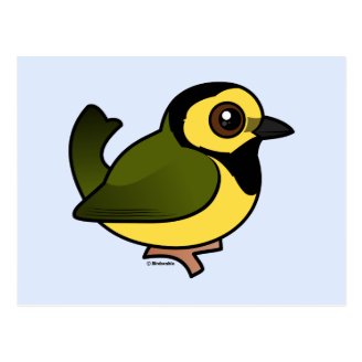 Hooded Warbler Postcard