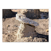 Hoodoo, San Juan Badlands (Front Horizontal)