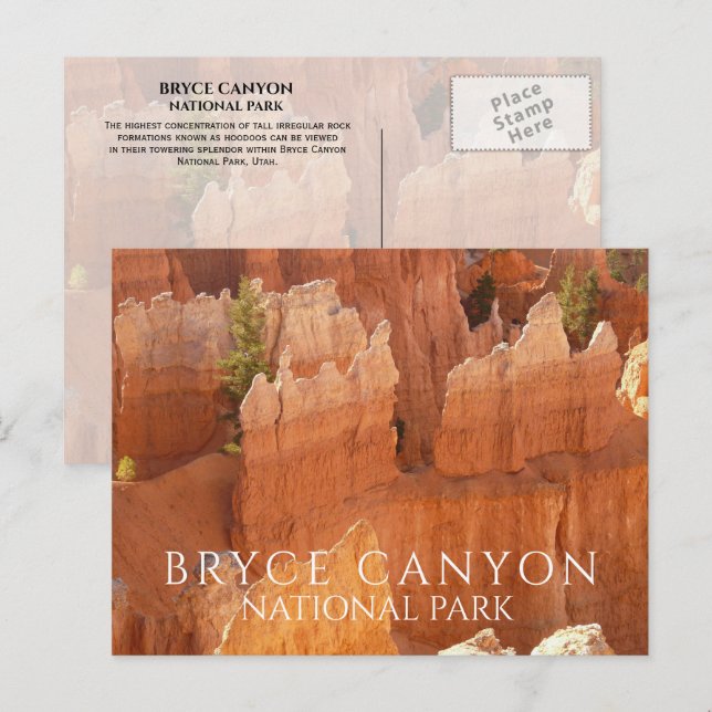 Hoodoos of Bryce Canyon National Park Postcard (Front/Back)