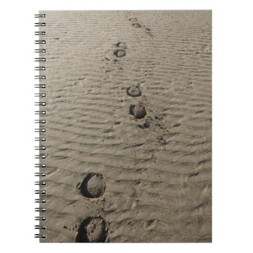 Hoof prints in the sand Spiral Notebook