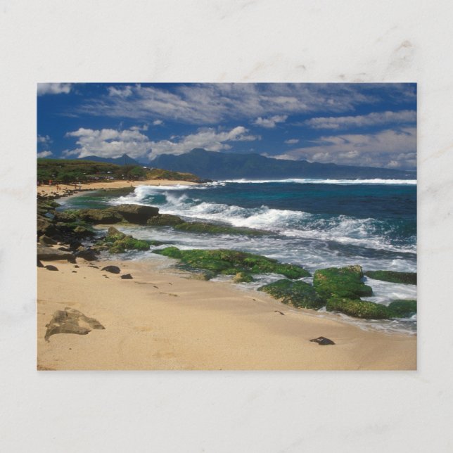 Hookipa Beach Maui Hawaii Postcard (Front)