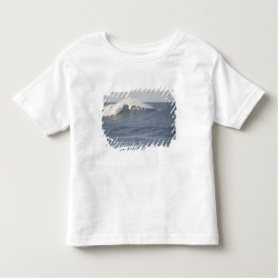 Hookipa Beach Park, North Shore of Maui, Toddler T-shirt