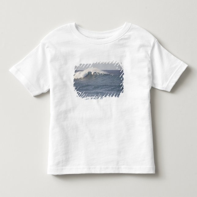 Hookipa Beach Park, North Shore of Maui, Toddler T-shirt (Front)