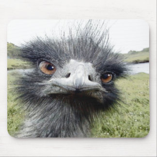 Hooks Mouse Pad