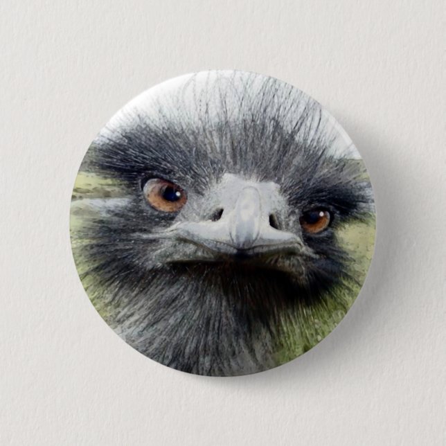 Hooks Pinback Button (Front)