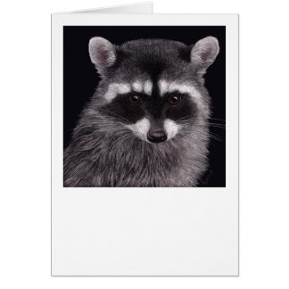 "Hooligan" Raccoon Card