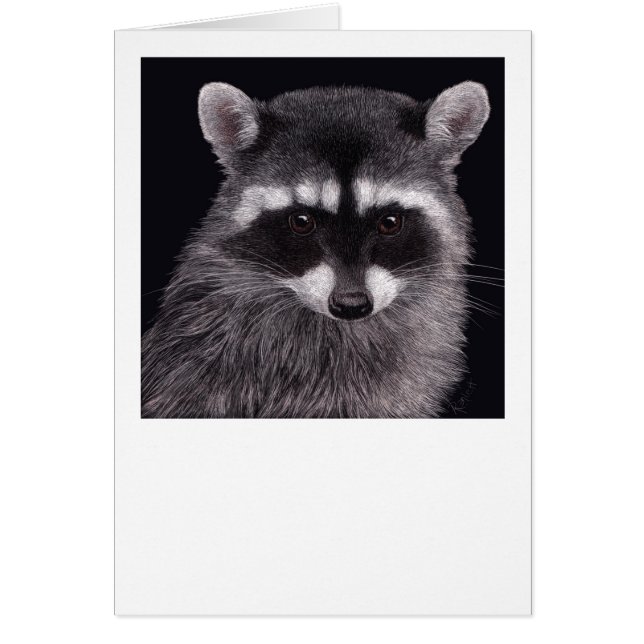 "Hooligan" Raccoon Card (Front)