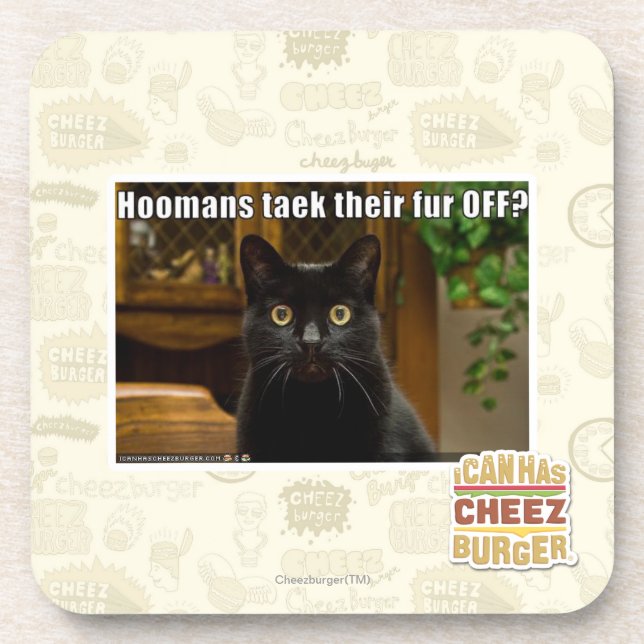 Hoomans Taek There fur OFF? Beverage Coaster (Front)