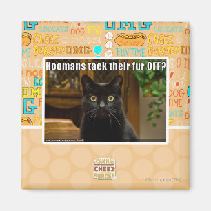 Hoomans Taek There fur OFF? Magnet