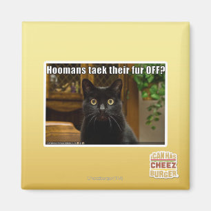Hoomans Taek There fur OFF? Magnet