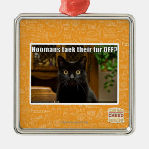 Hoomans Taek There fur OFF? Metal Ornament