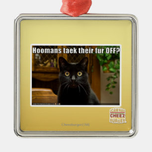 Hoomans Taek There fur OFF? Metal Ornament