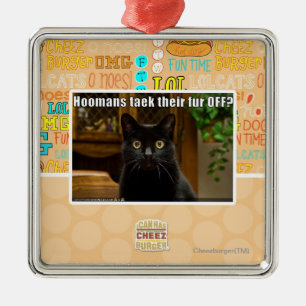 Hoomans Taek There fur OFF? Metal Ornament