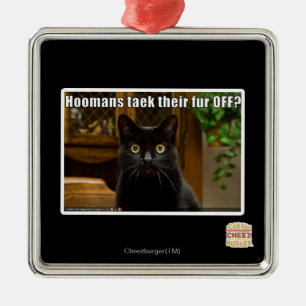 Hoomans Taek There fur OFF? Metal Ornament