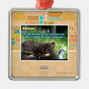 Hoomanz Metal Ornament