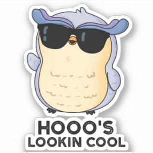 Hooo's Lookin Cool Funny Owl Pun  Sticker
