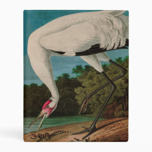 Hooping Crane Birds of America Audubon Print Mini Binder